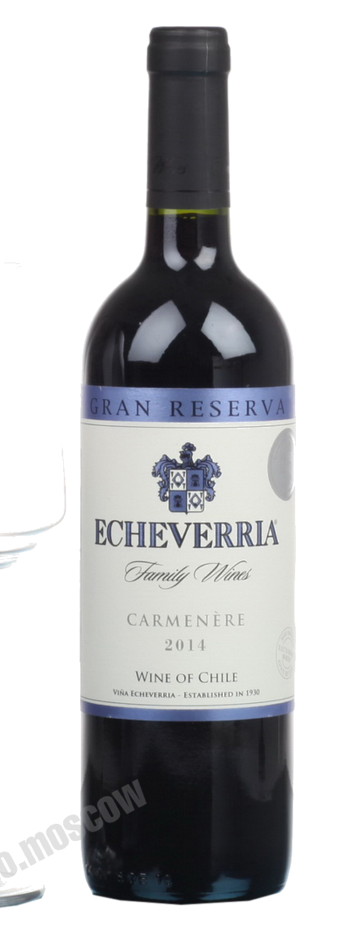 Echeverria 2007 Carmenère (Central Valley)