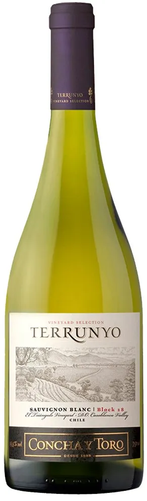 Concha y Toro 2002 Block 30 Terrunyo Sauvignon Blanc (Casablanca Valley)